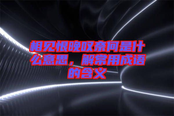 相見恨晚嘆奈何是什么意思，解常用成語的含義