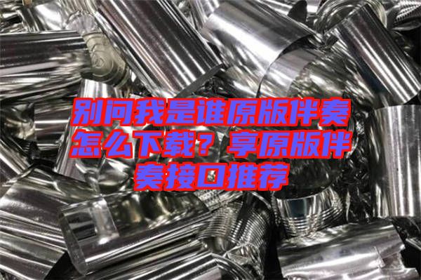 別問我是誰原版伴奏怎么下載？享原版伴奏接口推薦