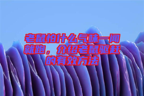老鼠怕什么氣味一聞就跑，介紹老鼠驅(qū)趕的有效方法