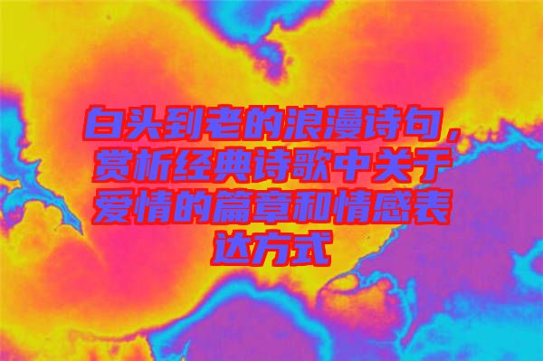 白頭到老的浪漫詩句，賞析經(jīng)典詩歌中關(guān)于愛情的篇章和情感表達(dá)方式