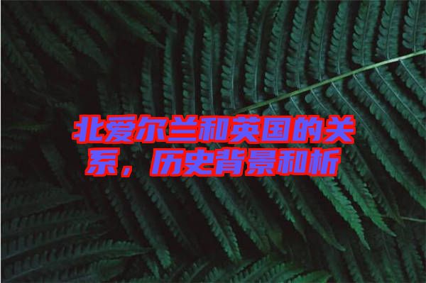 北愛爾蘭和英國的關(guān)系，歷史背景和析