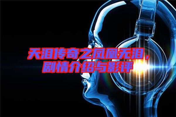 天淚傳奇之鳳凰無淚，劇情介紹與影評