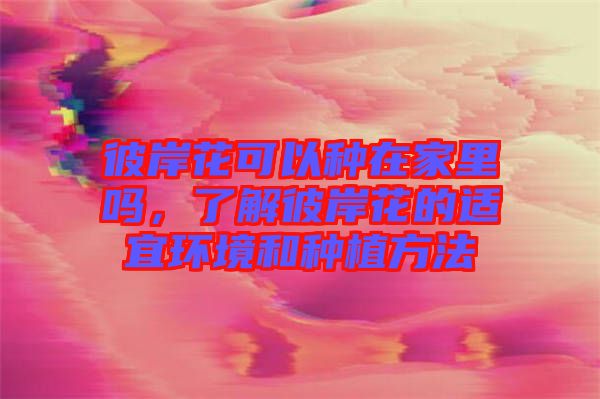 彼岸花可以種在家里嗎，了解彼岸花的適宜環(huán)境和種植方法