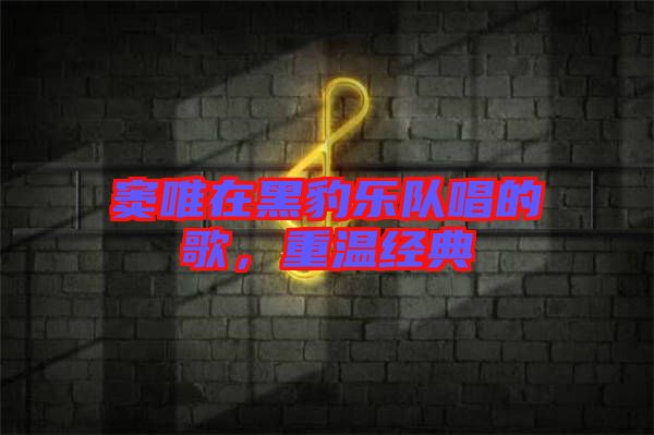 竇唯在黑豹樂隊(duì)唱的歌，重溫經(jīng)典