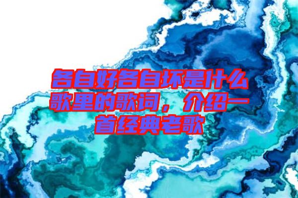 各自好各自壞是什么歌里的歌詞，介紹一首經(jīng)典老歌