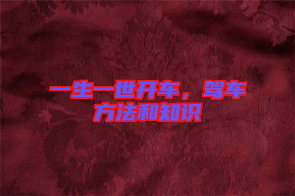 一生一世開車，駕車方法和知識