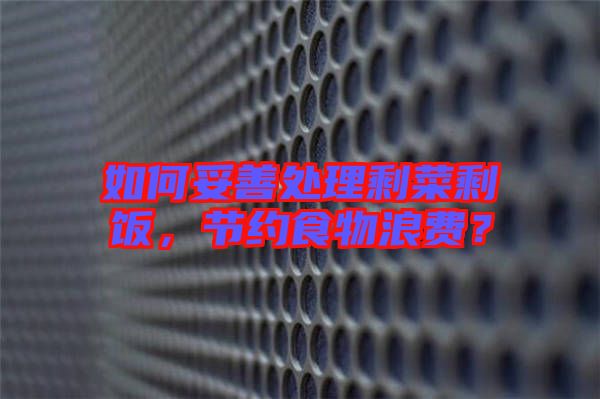 如何妥善處理剩菜剩飯，節(jié)約食物浪費？