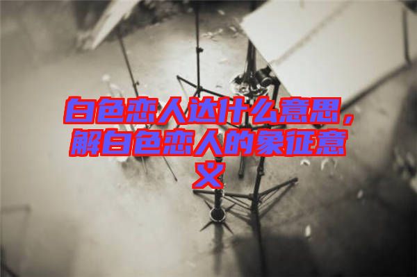 白色戀人達什么意思，解白色戀人的象征意義