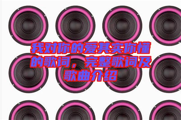 我對你的愛其實你懂的歌詞，完整歌詞及歌曲介紹