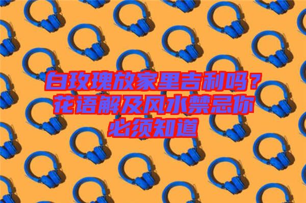 白玫瑰放家里吉利嗎？花語解及風(fēng)水禁忌你必須知道