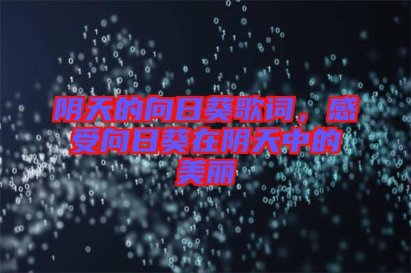 陰天的向日葵歌詞，感受向日葵在陰天中的美麗