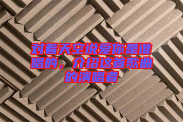 對著天空說愛你是誰唱的，介紹這首歌曲的演唱者