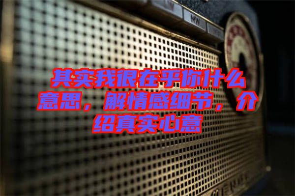 其實(shí)我很在乎你什么意思，解情感細(xì)節(jié)，介紹真實(shí)心意