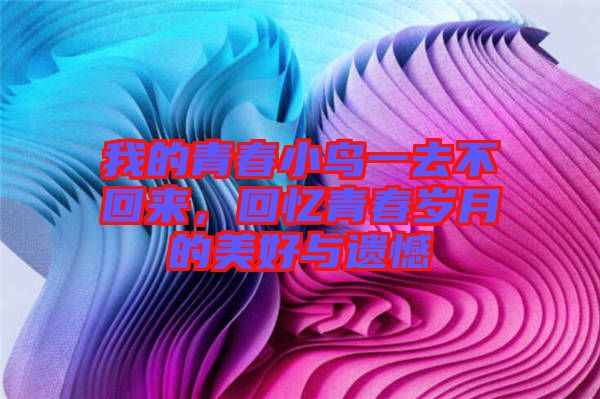 我的青春小鳥一去不回來，回憶青春歲月的美好與遺憾