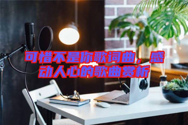 可惜不是你歌詞曲，感動人心的歌曲賞析