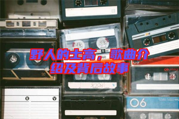 野人的士高，歌曲介紹及背后故事