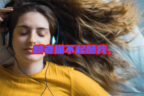 麟老貓不起酷我，
