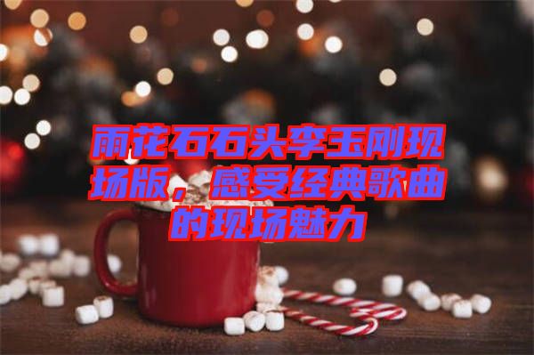 雨花石石頭李玉剛現(xiàn)場版，感受經典歌曲的現(xiàn)場魅力