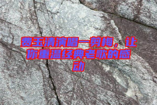 費(fèi)玉清演唱一剪梅，讓你重溫經(jīng)典老歌的感動(dòng)