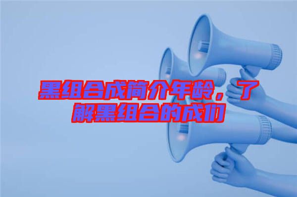 黑組合成簡介年齡，了解黑組合的成們