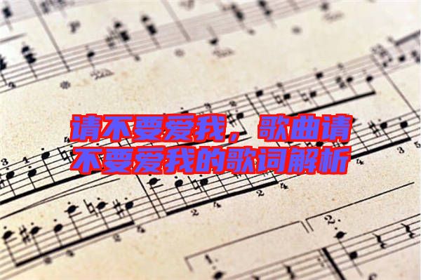 請不要愛我，歌曲請不要愛我的歌詞解析