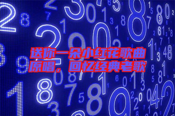 送你一朵小紅花歌曲原唱，回憶經(jīng)典老歌