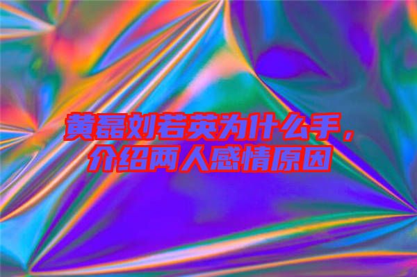 黃磊劉若英為什么手，介紹兩人感情原因