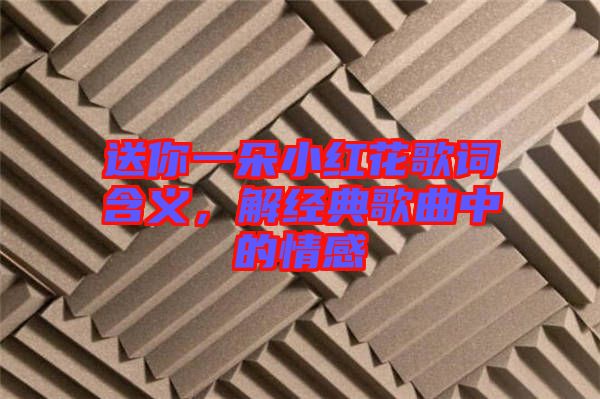 送你一朵小紅花歌詞含義，解經(jīng)典歌曲中的情感