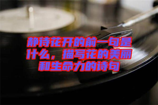 靜待花開(kāi)的前一句是什么，描寫花的美麗和生命力的詩(shī)句