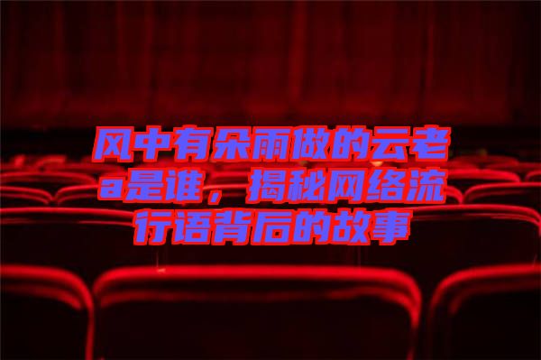風中有朵雨做的云老a是誰，揭秘網(wǎng)絡流行語背后的故事