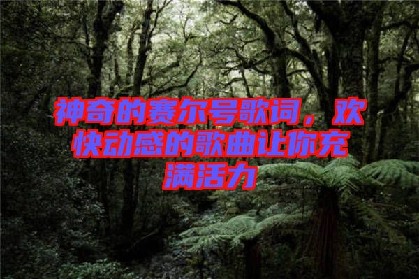 神奇的賽爾號歌詞，歡快動感的歌曲讓你充滿活力