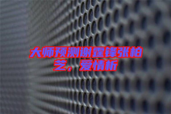 大師預(yù)測謝霆鋒張柏芝，愛情析