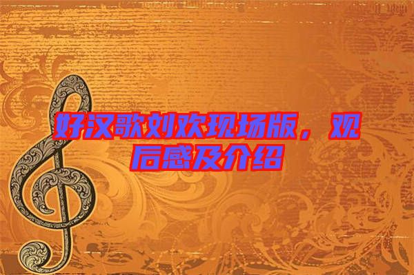 好漢歌劉歡現(xiàn)場版，觀后感及介紹