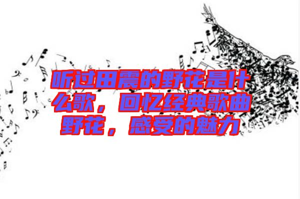 聽(tīng)過(guò)田震的野花是什么歌，回憶經(jīng)典歌曲野花，感受的魅力
