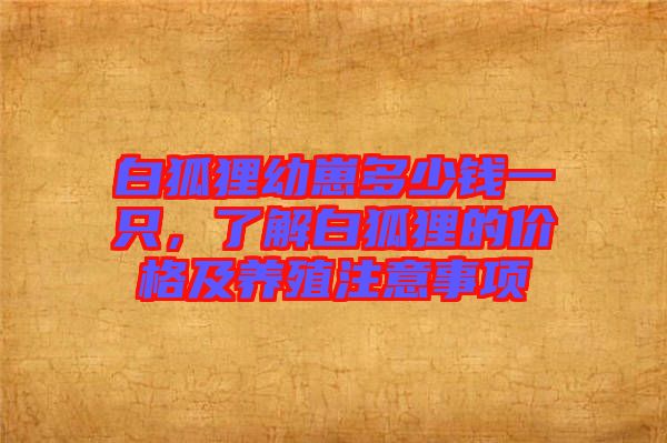 白狐貍幼崽多少錢一只，了解白狐貍的價(jià)格及養(yǎng)殖注意事項(xiàng)