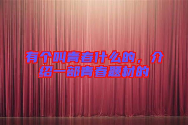 有個叫青春什么的，介紹一部青春題材的