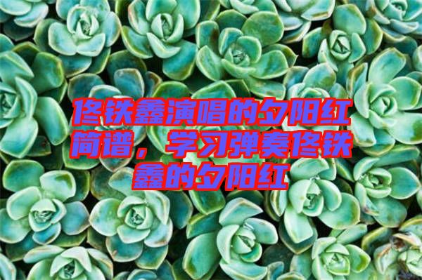 佟鐵鑫演唱的夕陽紅簡譜，學習彈奏佟鐵鑫的夕陽紅