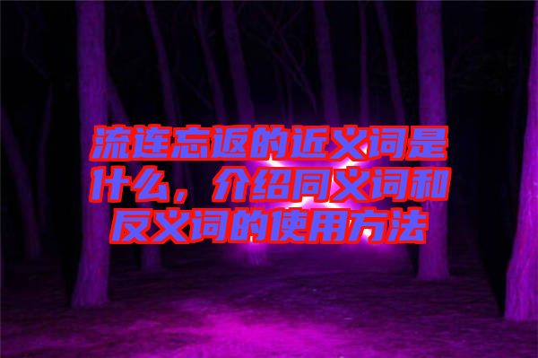 流連忘返的近義詞是什么，介紹同義詞和反義詞的使用方法