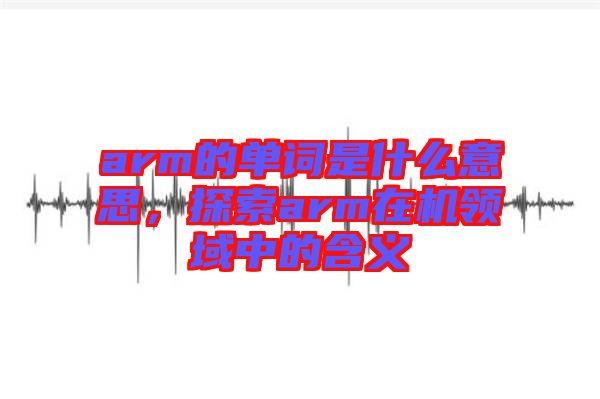arm的單詞是什么意思，探索arm在機領域中的含義
