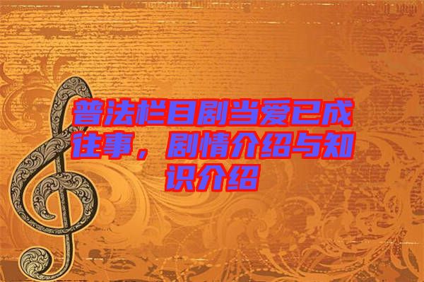 普法欄目劇當愛已成往事，劇情介紹與知識介紹