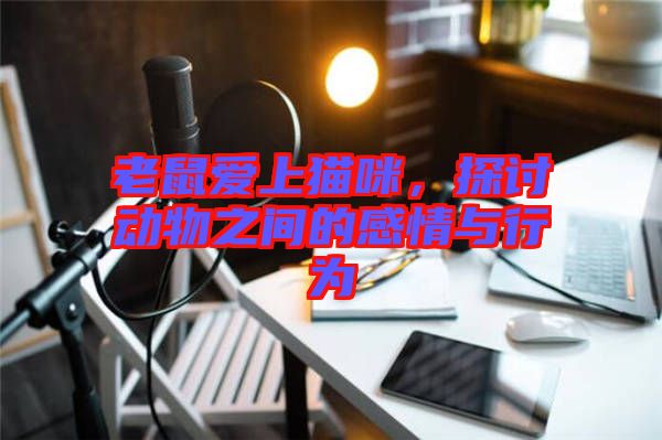 老鼠愛上貓咪，探討動物之間的感情與行為