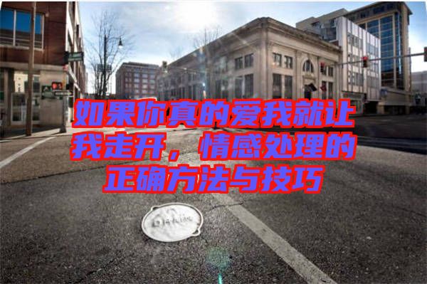 如果你真的愛我就讓我走開，情感處理的正確方法與技巧