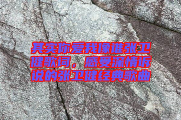 其實(shí)你愛我像誰(shuí)張衛(wèi)健歌詞，感受深情訴說的張衛(wèi)健經(jīng)典歌曲