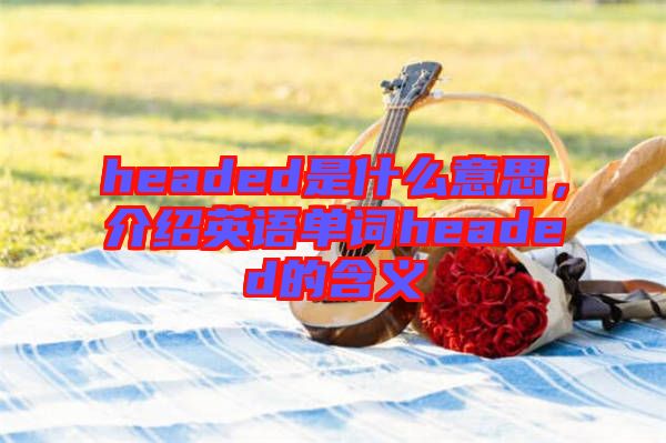 headed是什么意思，介紹英語(yǔ)單詞headed的含義