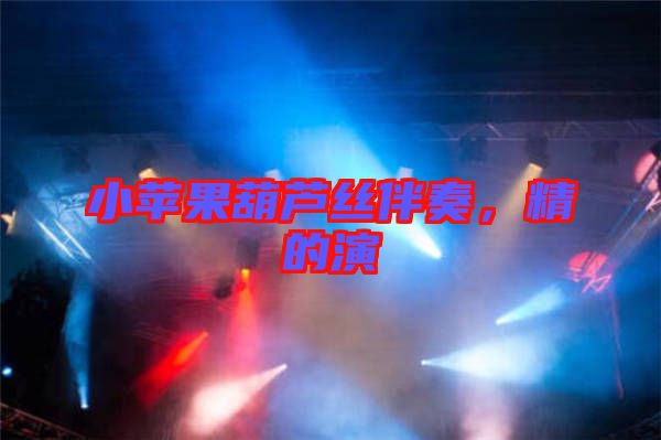 小蘋果葫蘆絲伴奏，精的演
