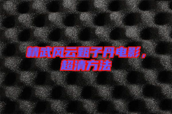 精武風(fēng)云甄子丹電影，超清方法