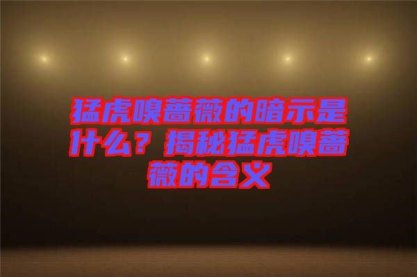 猛虎嗅薔薇的暗示是什么？揭秘猛虎嗅薔薇的含義