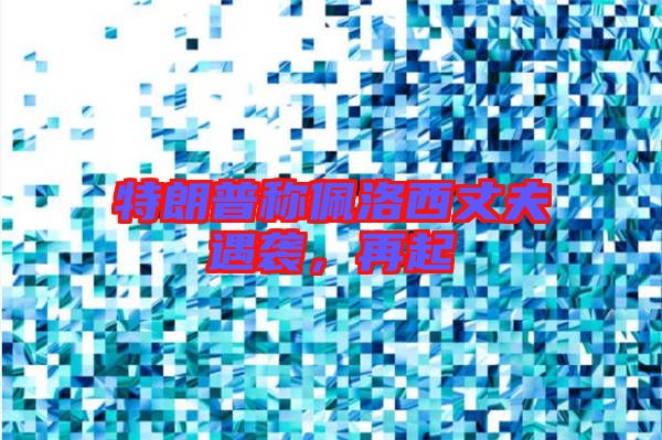 特朗普稱佩洛西丈夫遇襲，再起