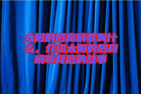 太陽的后裔哨歌叫什么，介紹太陽的后裔哨歌背后的故事