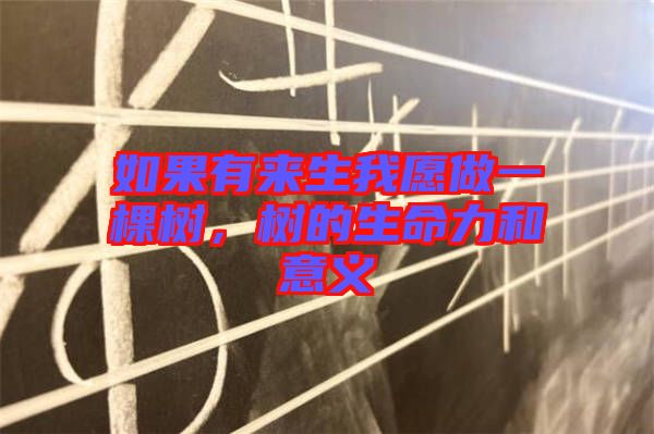 如果有來生我愿做一棵樹，樹的生命力和意義